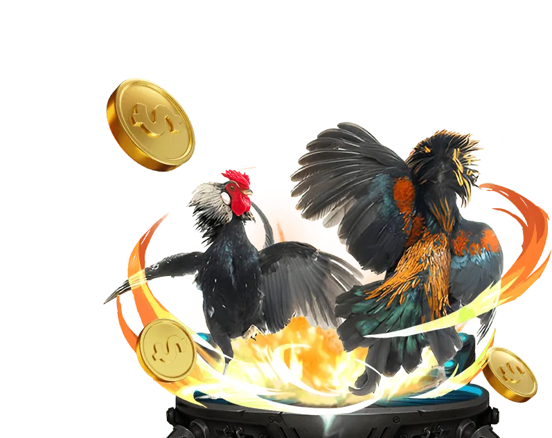 Các loại cookie khác nhau được vina88 casino sử dụng để tối ưu hóa trang web và trải nghiệm người dùng